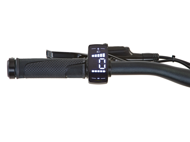 Prophete E-Bike ATB Twentyniner, 29 Zoll