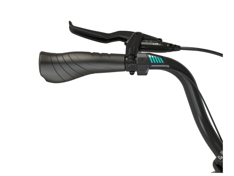 Prophete E-Bike City Expedition Geniesser 1.7, 28 Zoll