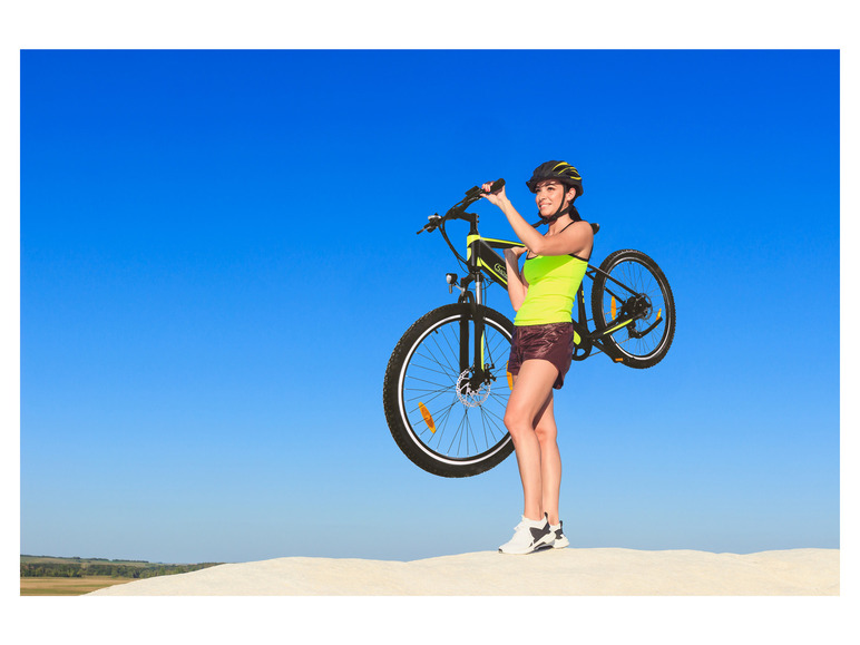 SachsenRad E-Bike Racing Mountainbike »R8 Flex III«, 27,5 Zoll