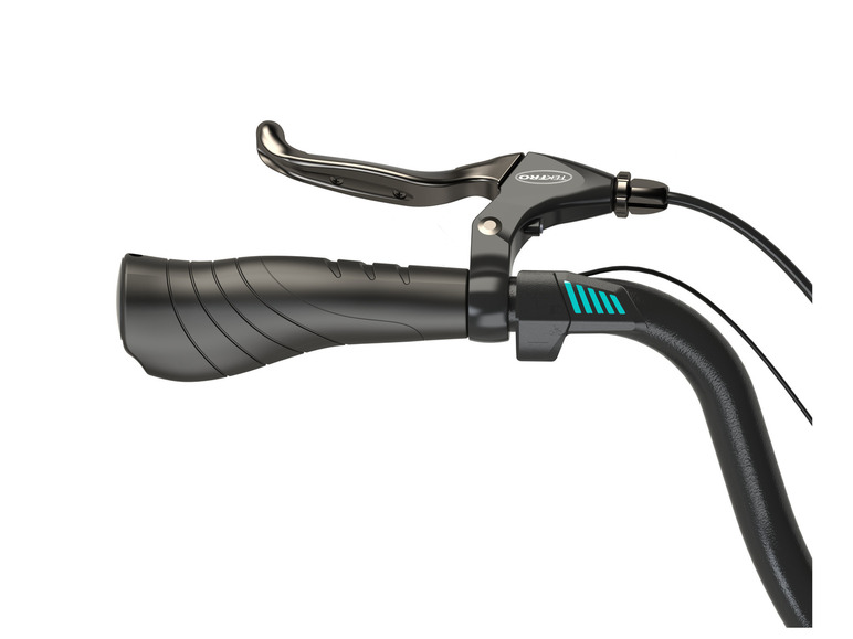 Prophete E-Bike Alu-City GENIESSER 1.0, 28 Zoll