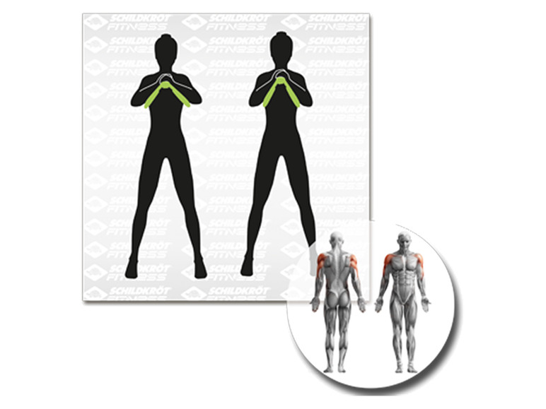 Schildkröt Fitness Oberschenkel Trainer / Leg Trainer