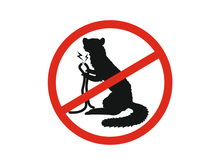 GOMAGO Mardervergrämung Auto, schadstofffrei