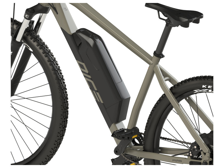 Prophete E-Bike Mountainbike DICE 2.0, 29 Zoll