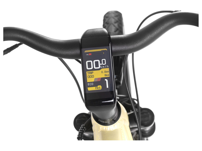 Maxtron E-Bike Trekking SUV »MTS-21X«, 28 Zoll