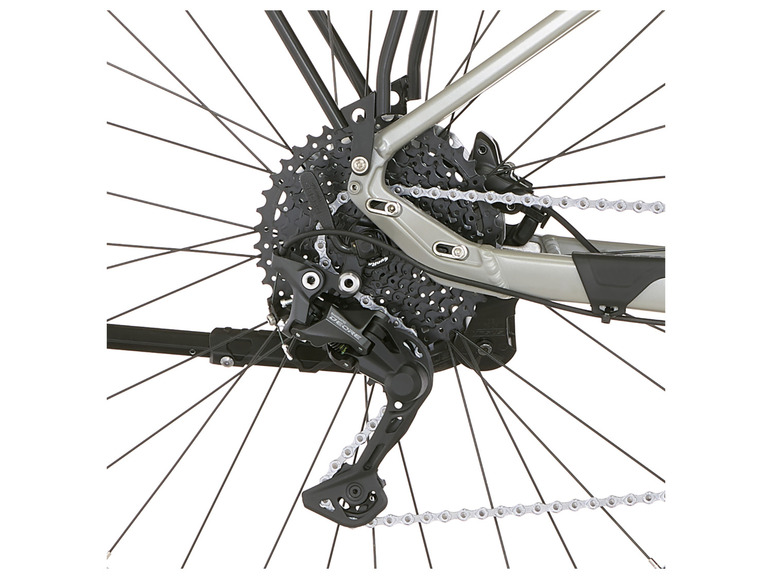 FISCHER E-Bike ATB »Terra 4.0i«, 29 Zoll