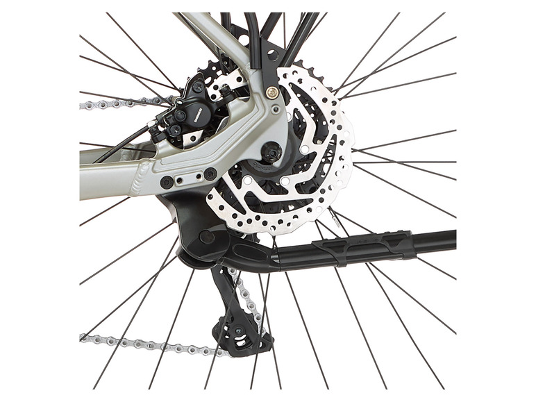 FISCHER E-Bike ATB »Terra 4.0i«, 29 Zoll