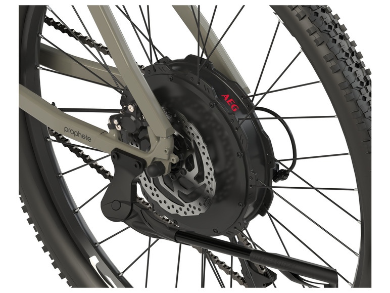 Prophete E-Bike Mountainbike DICE 2.0, 29 Zoll