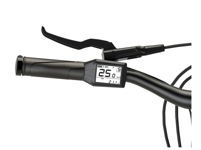 Prophete E-Bike Mountainbike DICE 2.0, 29 Zoll