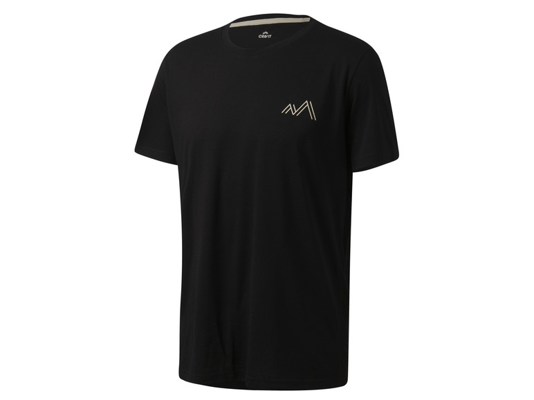 CRIVIT Herren Funktionsshirts, 2 Stück, mit Rundhalsausschnitt