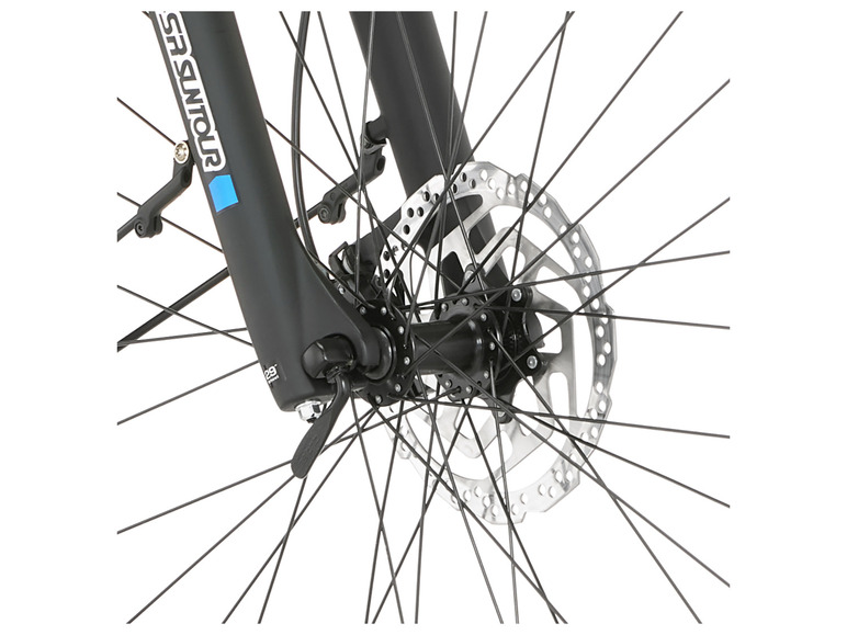 FISCHER E-Bike ATB »Terra 4.0i«, 29 Zoll