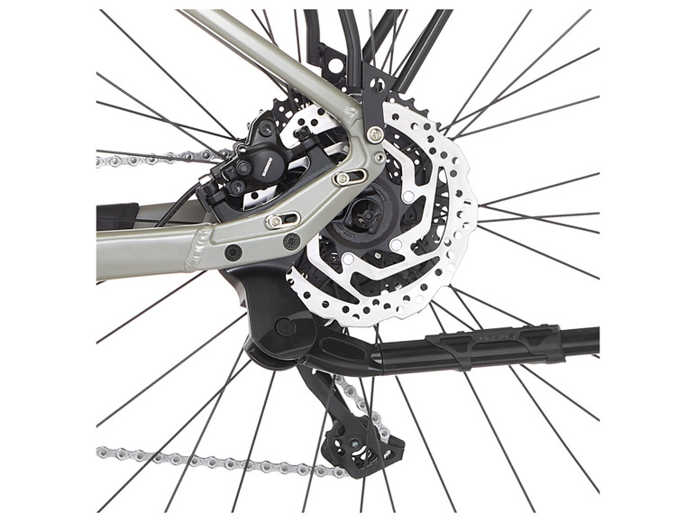 FISCHER E-Bike ATB »Terra 4.0i«, 29 Zoll