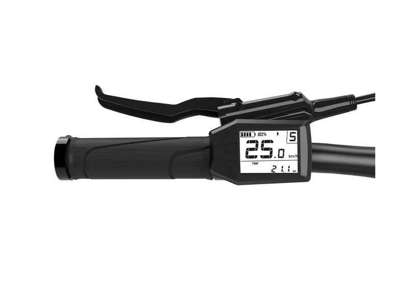 Prophete E-Bike Trekking SUV, 29 Zoll