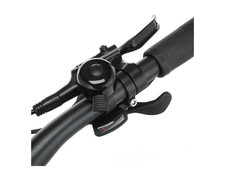 FISCHER E-Bike ATB »Terra 4.0i«, 29 Zoll