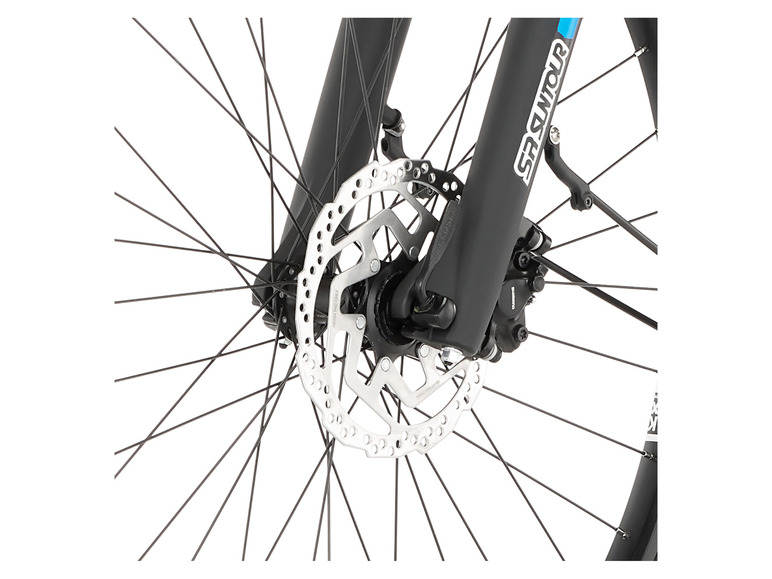 FISCHER E-Bike ATB »Terra 4.0i«, 29 Zoll