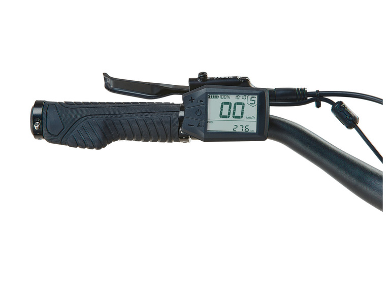 Prophete E-Bike Trekking »Entdecker 3.0«, 28 Zoll