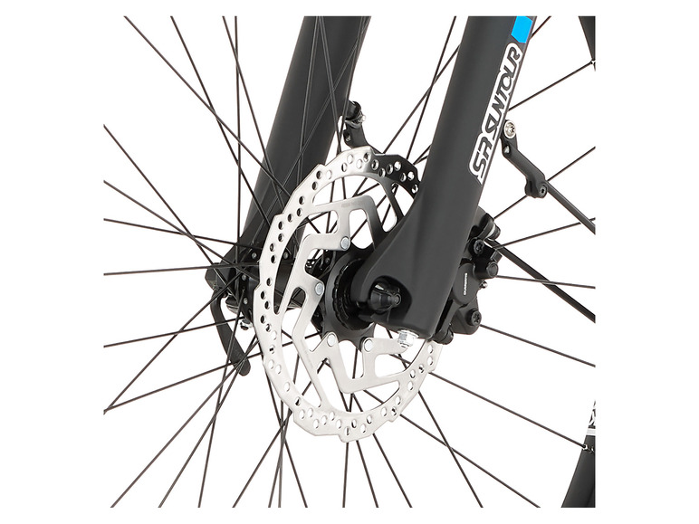 FISCHER E-Bike ATB »Terra 4.0i«, 29 Zoll