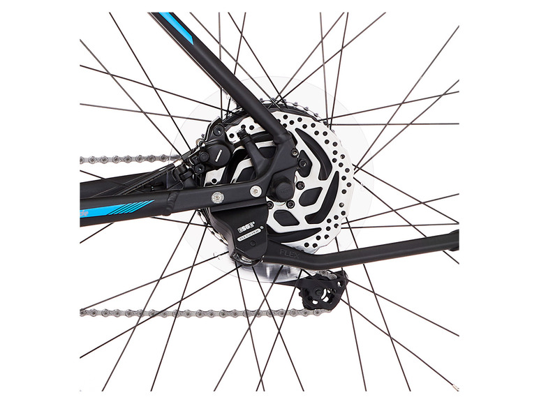 FISCHER E-Bike Mountainbike MONTIS EM 1724.1, MTB, 29 Zoll, Modell 2022