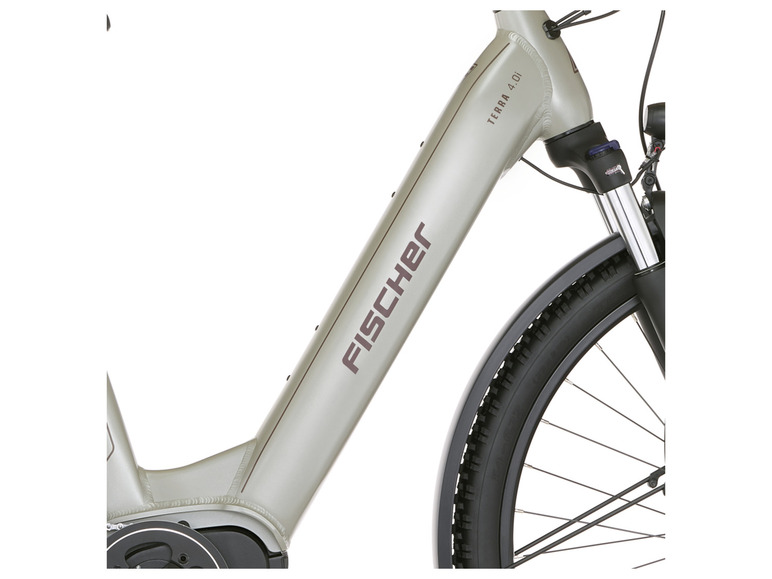 FISCHER E-Bike ATB »Terra 4.0i«, 29 Zoll