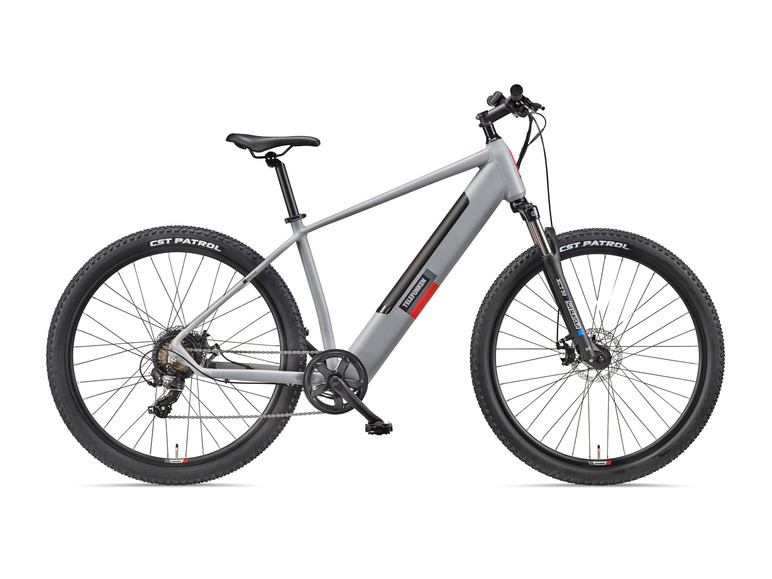 TELEFUNKEN E-Bike Mountainbike »Aufsteiger M921« MTB, 29 Zoll