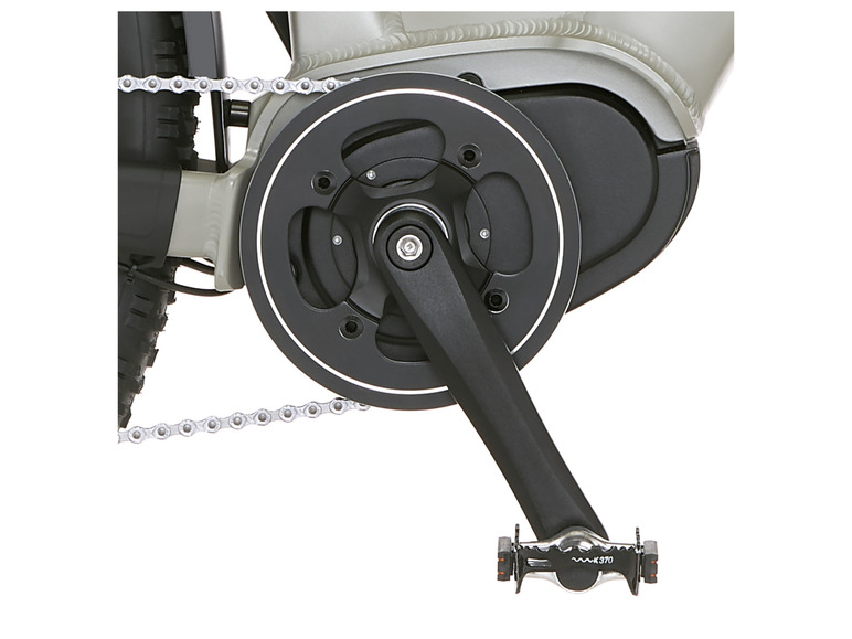 FISCHER E-Bike ATB »Terra 4.0i«, 29 Zoll