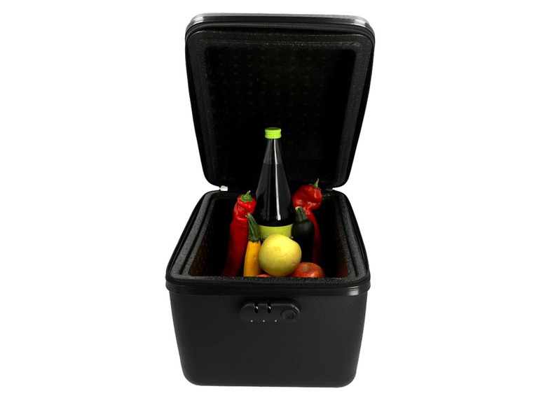 FISCHER FISCHER Gepäckträgerbox, isoliert