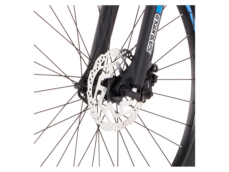 FISCHER E-Bike Mountainbike MONTIS EM 1724.1, MTB, 29 Zoll, Modell 2022