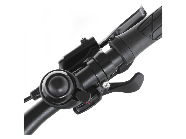 FISCHER E-Bike Mountainbike MONTIS EM 1724.1, MTB, 29 Zoll, Modell 2022