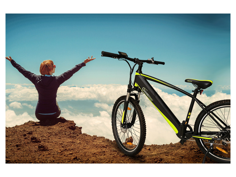 SachsenRad E-Bike Racing Mountainbike »R8 Flex III«, 27,5 Zoll