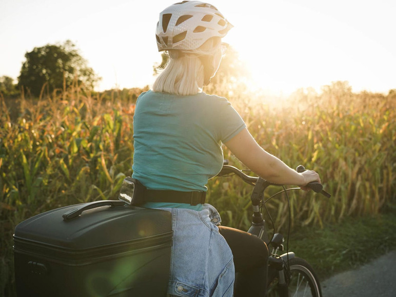FISCHER FISCHER Gepäckträgerbox, isoliert