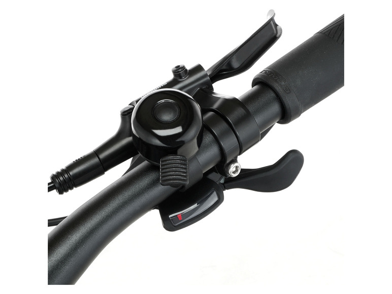 FISCHER E-Bike ATB »Terra 4.0i«, 29 Zoll