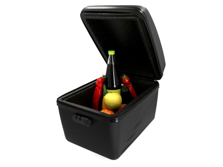 FISCHER FISCHER Gepäckträgerbox, isoliert