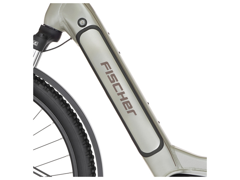 FISCHER E-Bike ATB »Terra 4.0i«, 29 Zoll