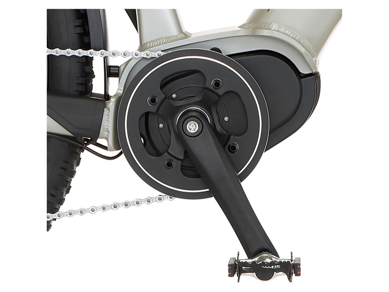 FISCHER E-Bike ATB »Terra 4.0i«, 29 Zoll