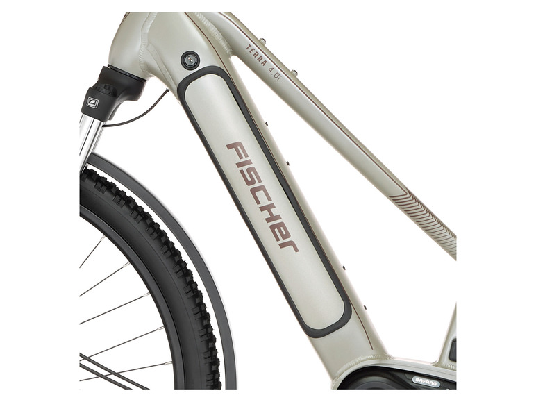 FISCHER E-Bike ATB »Terra 4.0i«, 29 Zoll