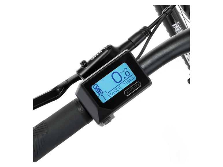 FISCHER E-Bike ATB »Terra 4.0i«, 29 Zoll