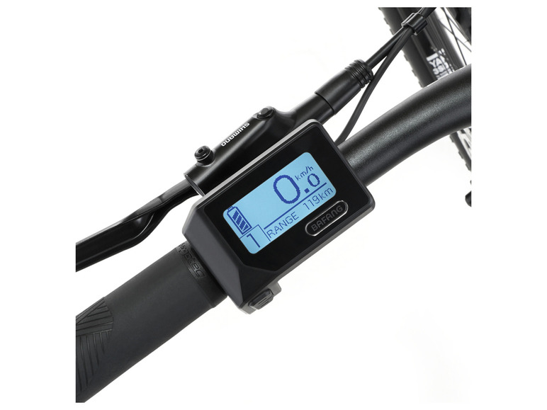 FISCHER E-Bike ATB »Terra 4.0i«, 29 Zoll