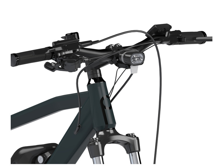 Prophete E-Bike Trekking SUV, 29 Zoll