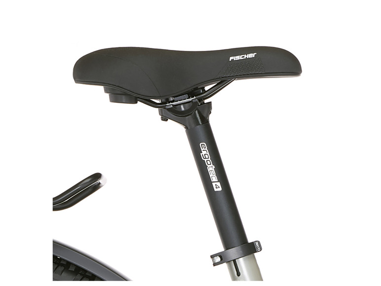 FISCHER E-Bike ATB »Terra 4.0i«, 29 Zoll