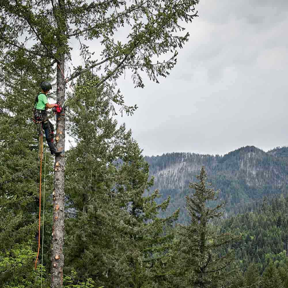 MILWAUKEE 18V FUEL™ 305mm (12") Top Handle Chainsaw Skin M18FTCHS120