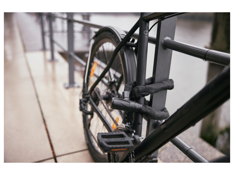 CRIVIT Fahrradschlosssortierung, inkl. 2 Schlüsseln