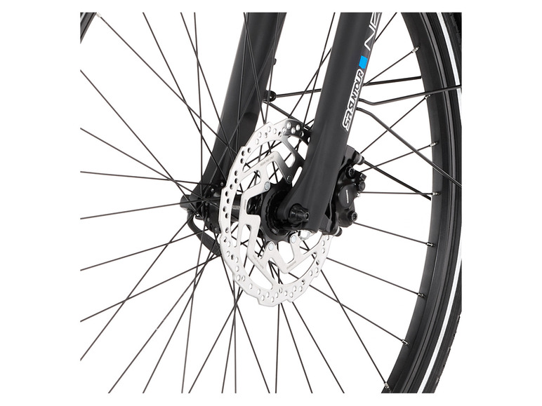 FISCHER E-Bike Trekking »Viator 2.0«, 28 Zoll