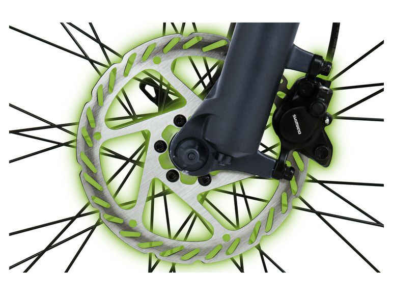 SachsenRad E-Bike Racing Mountainbike »R8 Flex III«, 27,5 Zoll