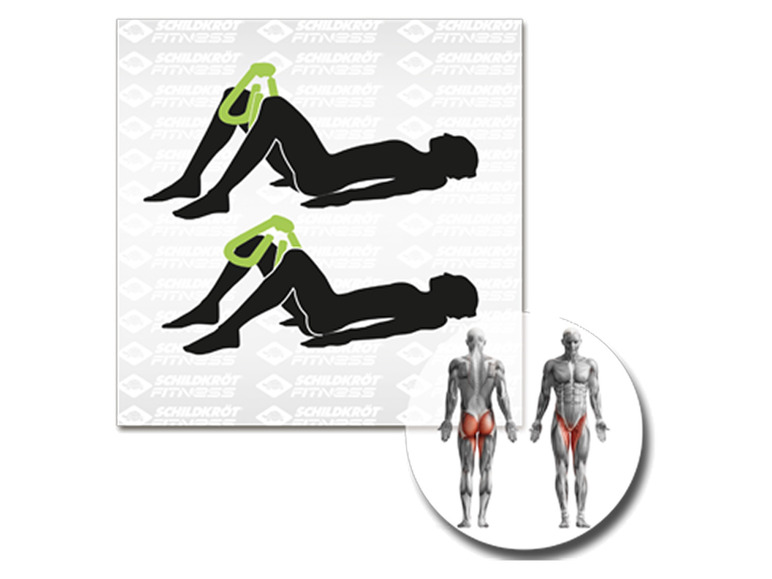Schildkröt Fitness Oberschenkel Trainer / Leg Trainer