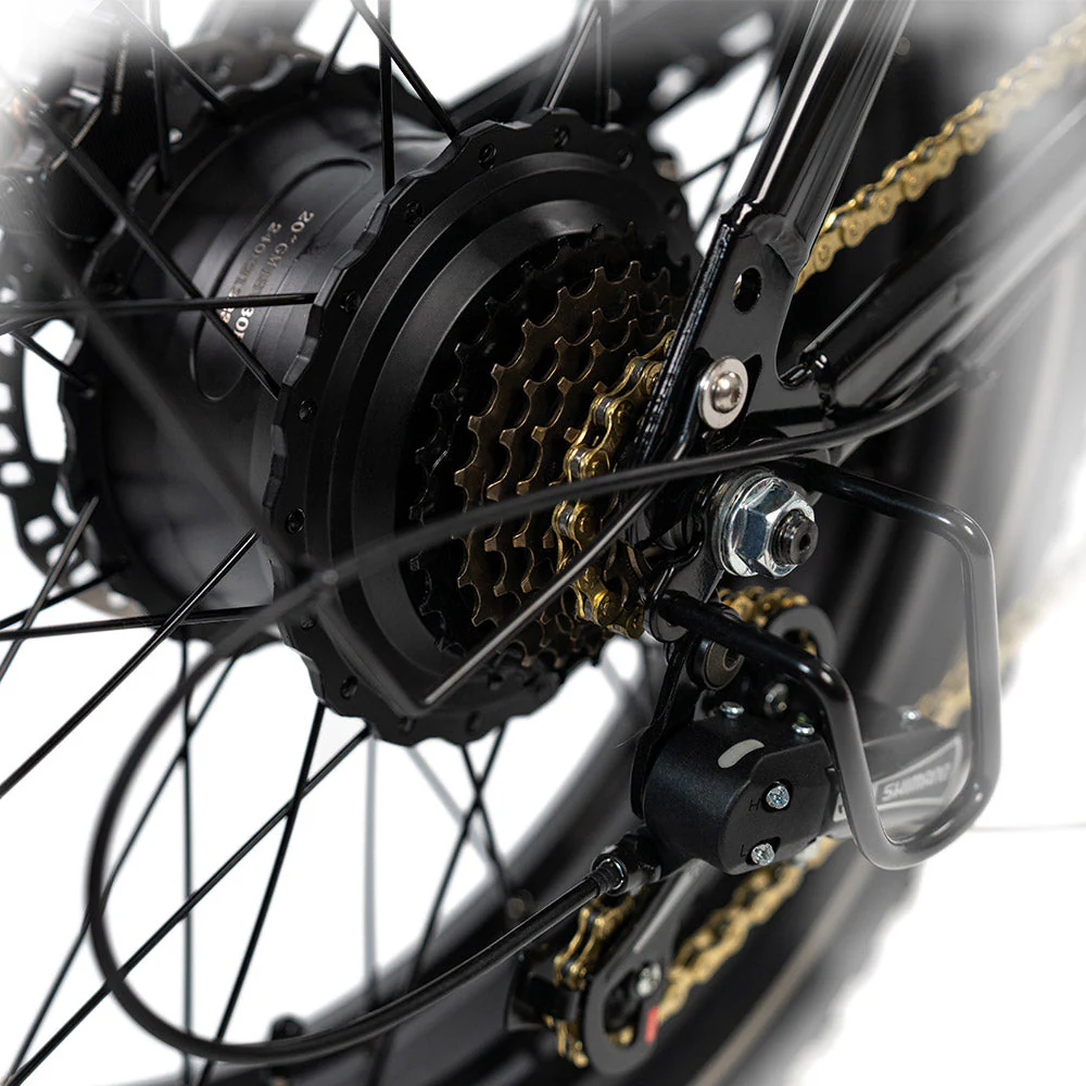 2025 NEW HappyRun G70 2000W Dual Battery Fast Electric Cargo Bike for Sale