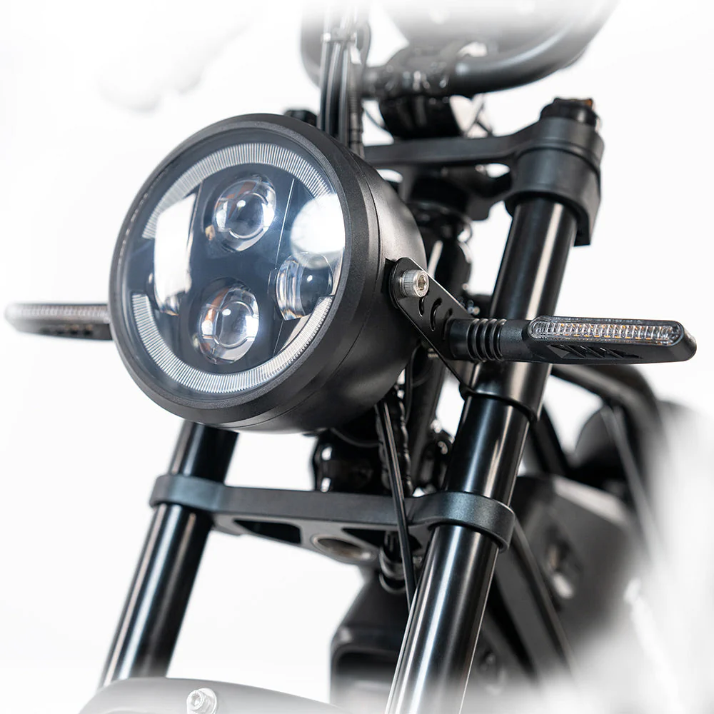 2025 NEW HappyRun G70 2000W Dual Battery Fast Electric Cargo Bike for Sale