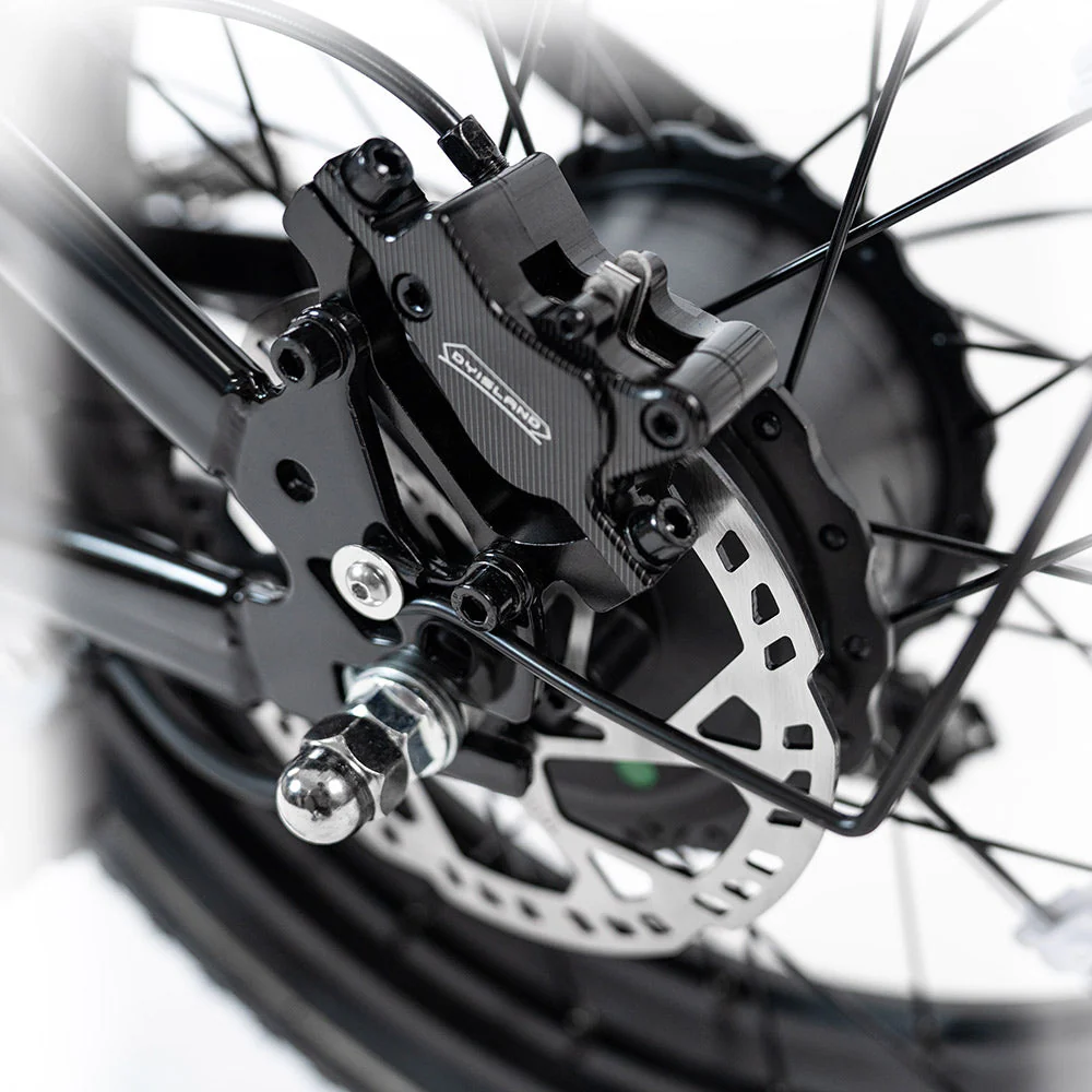 2025 NEW HappyRun G70 2000W Dual Battery Fast Electric Cargo Bike for Sale