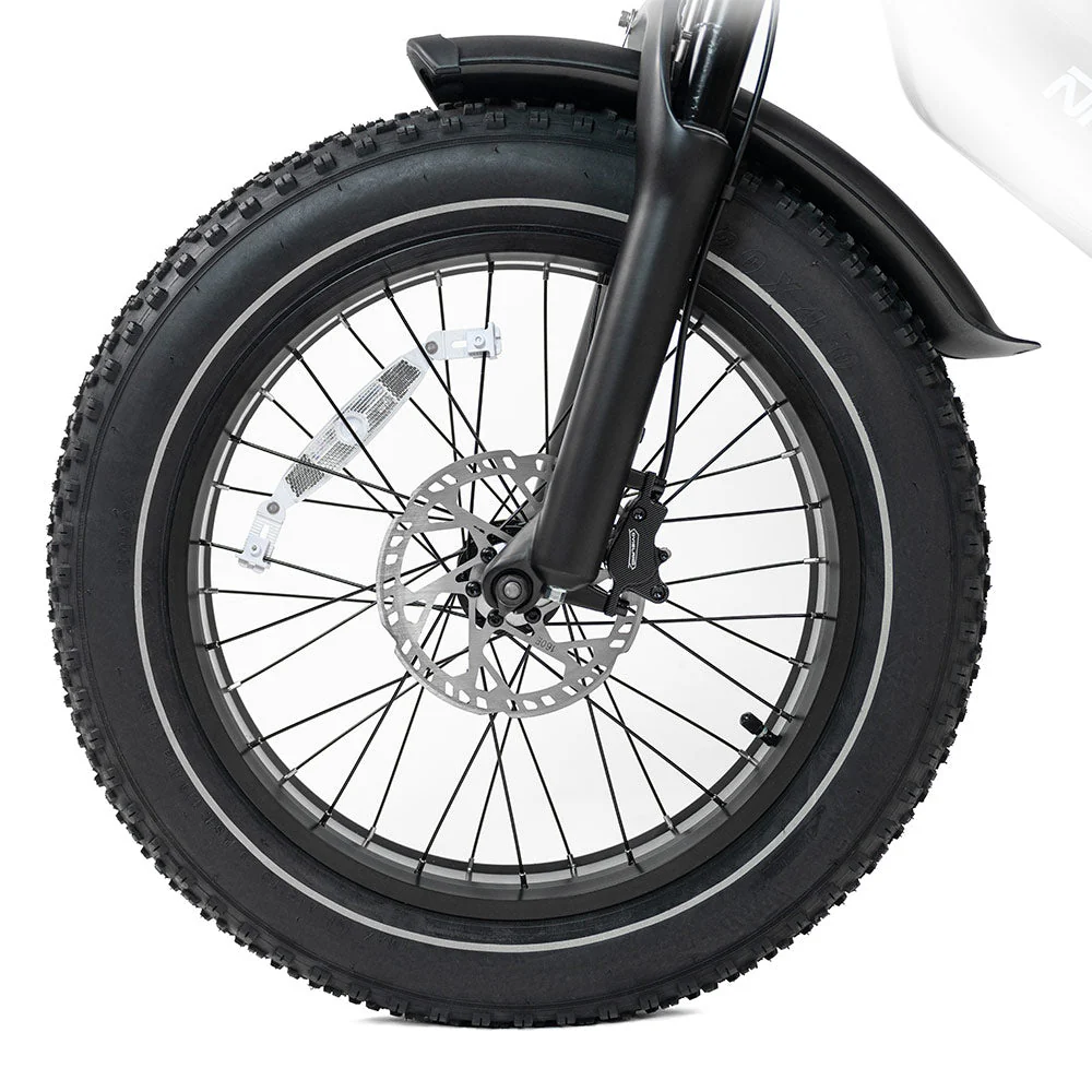 2025 NEW HappyRun G70 2000W Dual Battery Fast Electric Cargo Bike for Sale