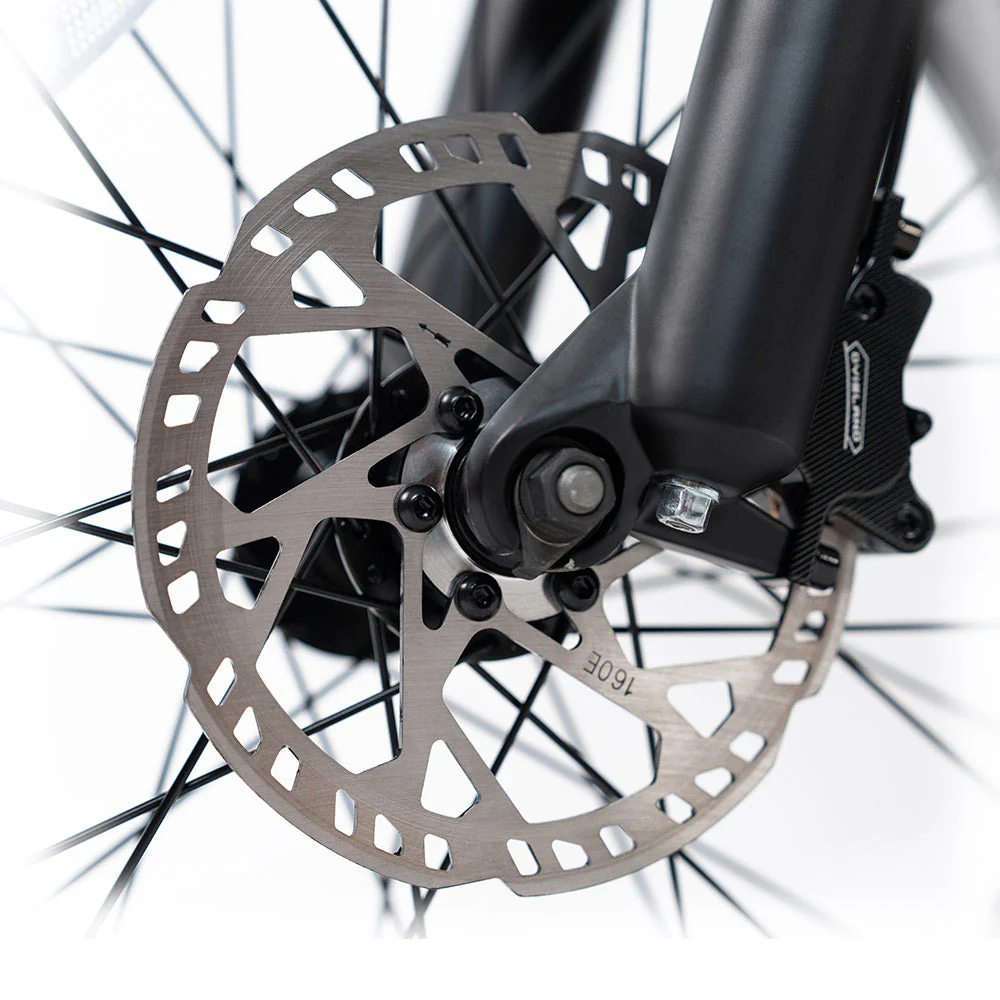 2025 NEW HappyRun G70 2000W Dual Battery Fast Electric Cargo Bike for Sale