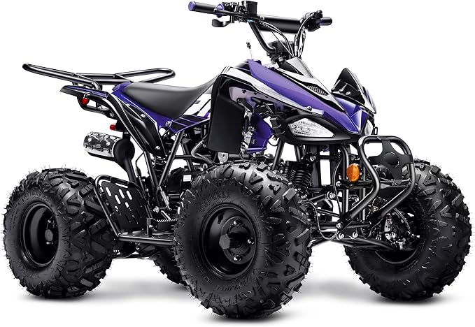 Automatic 125cc ATV with Reverse – Utility ATV Four Wheeler Gas Powered 4 Wheeler Quad with Headlights - Big 19