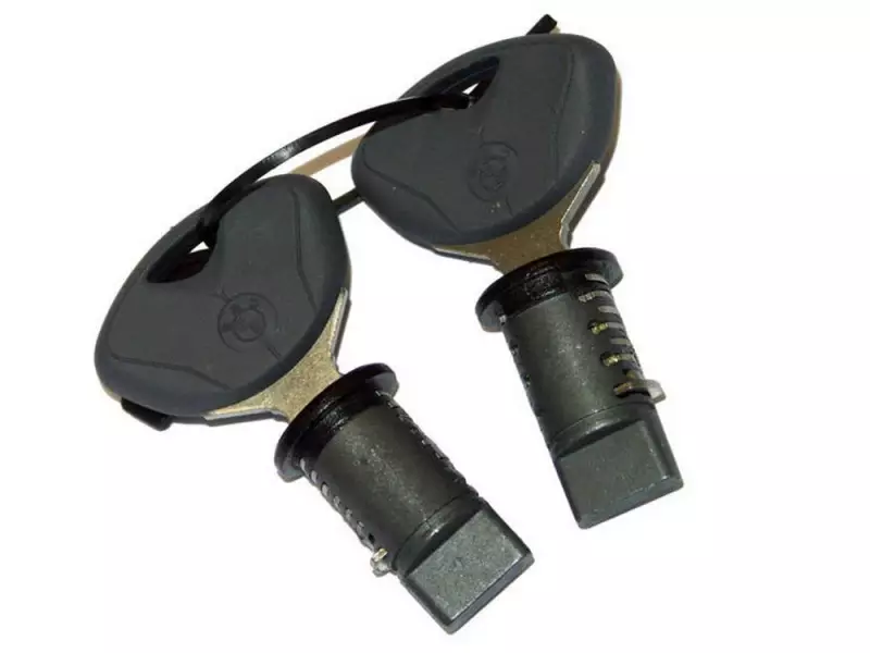 2 Codeable Lock Cylinders with 2 BMW Keys provided